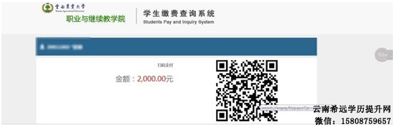 云南农业大学成人高考学生线上缴纳学费流程3